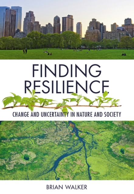 Book cover of Finding Resilience