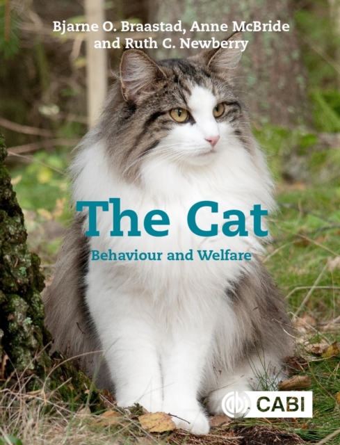 Book cover of The Cat