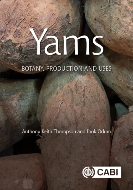 Book cover of Yams