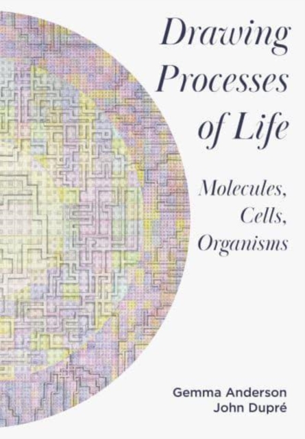 Book cover of Drawing Processes of Life
