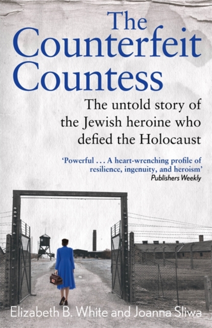 Book cover of Counterfeit Countess, The