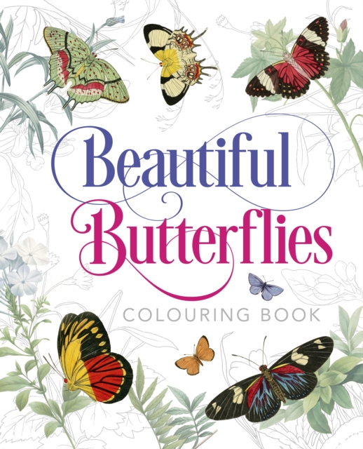 Book cover of Beautiful Butterflies Colouring Book