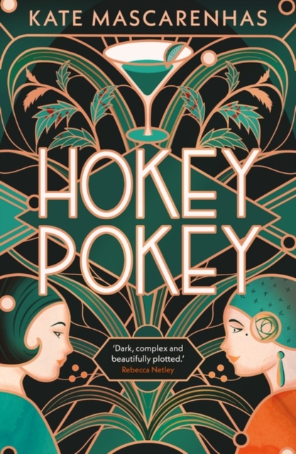 Book cover of Hokey Pokey