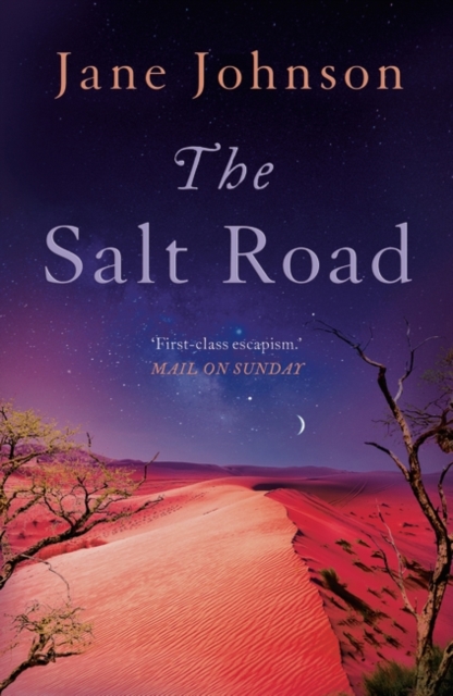 Book cover of The Salt Road