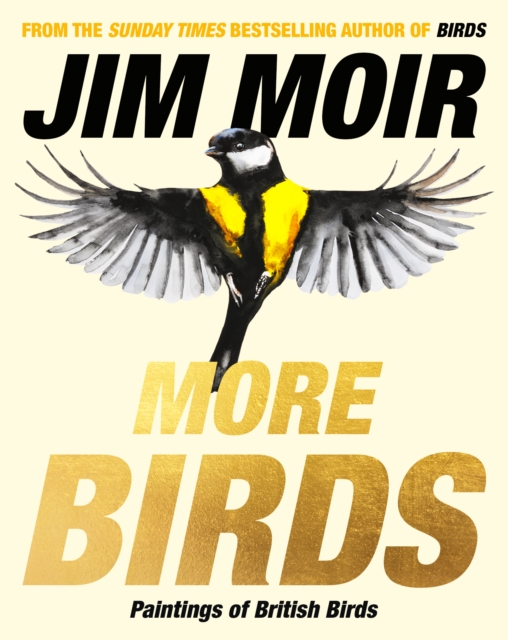Book cover of More Birds