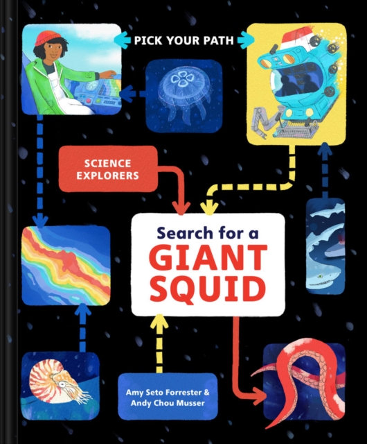 Book cover of Search for a Giant Squid