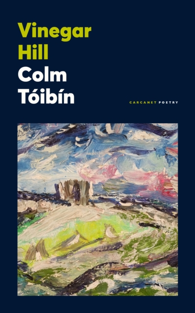 Book cover of Vinegar Hill