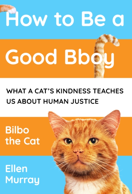 Book cover of How to be a Good Bboy