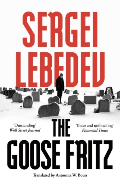 Book cover of The Goose Fritz