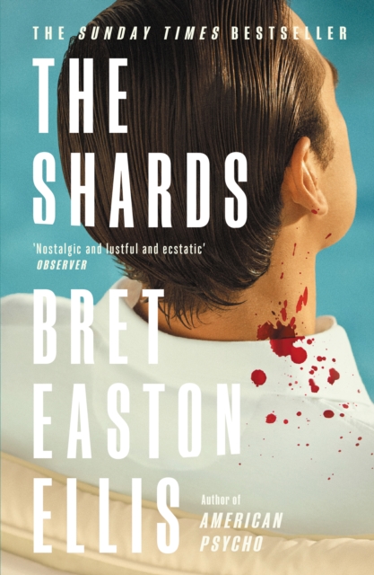 Book cover of The Shards