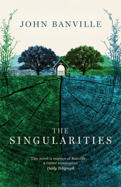 Book cover of The Singularities