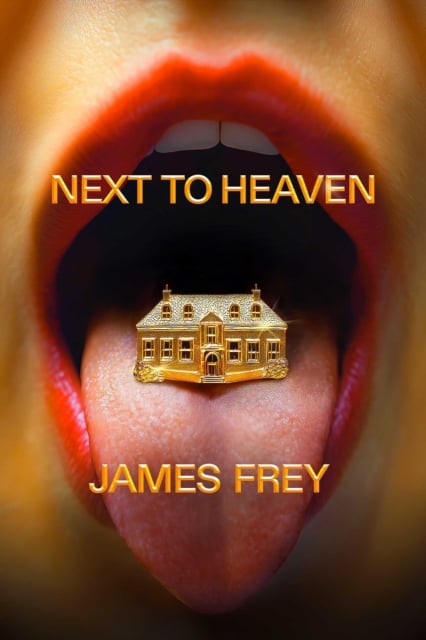 Book cover of Next to Heaven