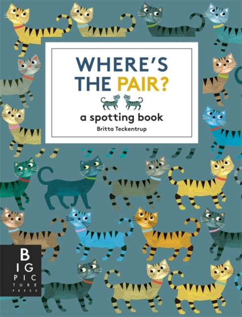 Book cover of Where's the Pair?