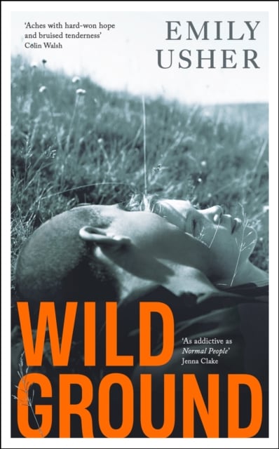 Book cover of Wild Ground