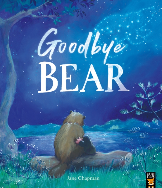 Book cover of Goodbye Bear