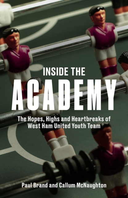 Book cover of Inside the Academy