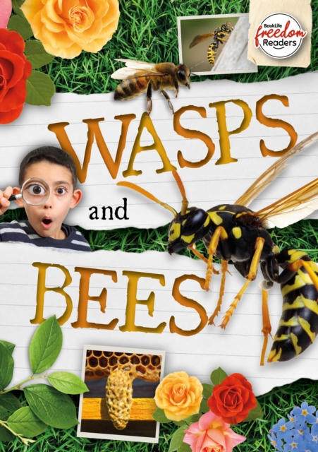 Book cover of Wasps and Bees