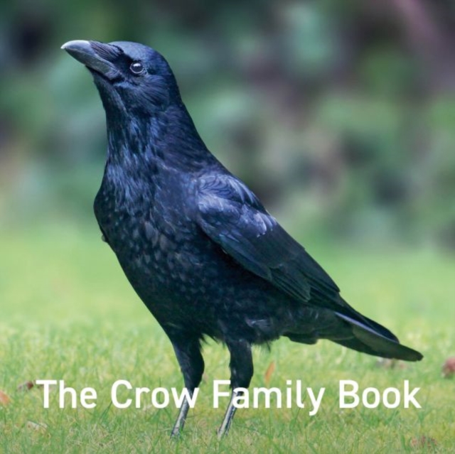 Book cover of Nature Book Series: The Crow Family Book