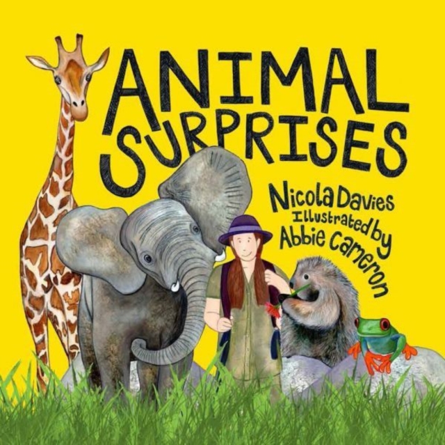 Book cover of Animal Surprises