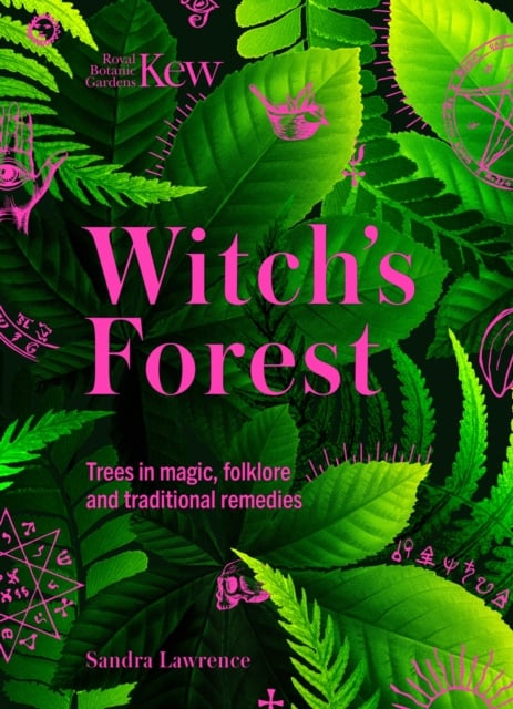 Book cover of Kew - Witch's Forest