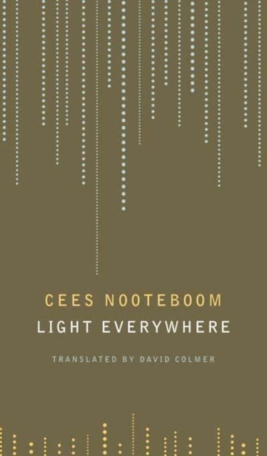 Book cover of Light Everywhere