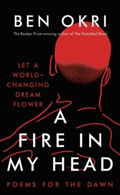 Book cover of A Fire in My Head