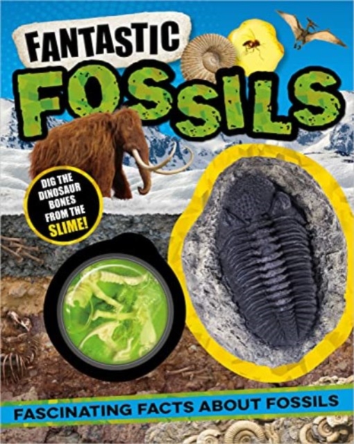 Book cover of Non-Fiction Books Fantastic Fossils