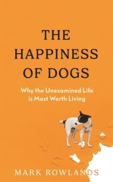 Book cover of The Happiness of Dogs