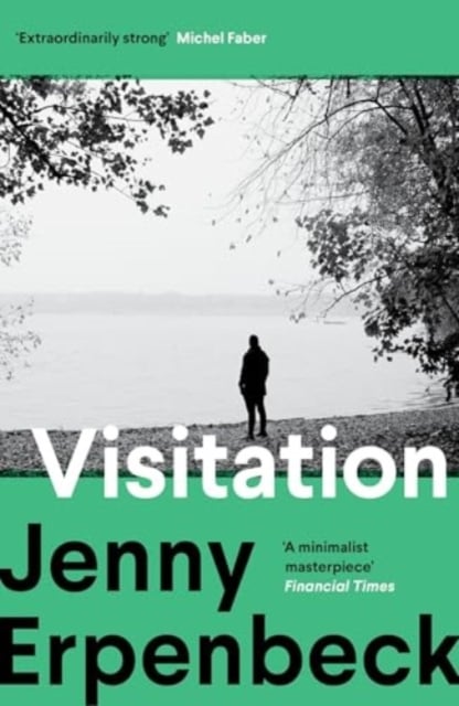 Book cover of Visitation
