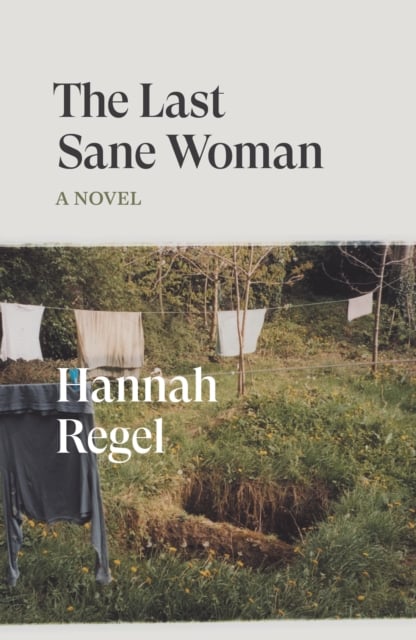 Book cover of The Last Sane Woman