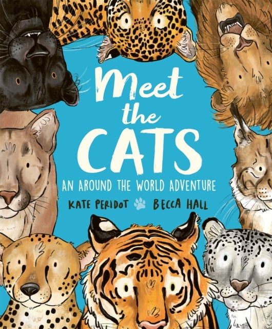 Book cover of Meet the Cats
