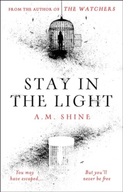 Book cover of Stay in the Light