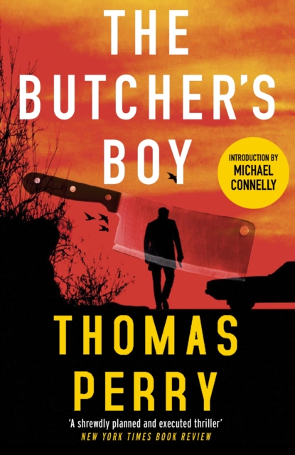 Book cover of The Butcher's Boy
