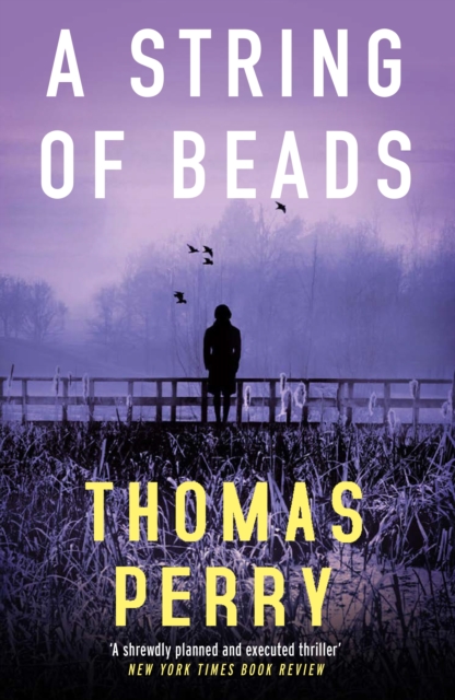 Book cover of A String of Beads
