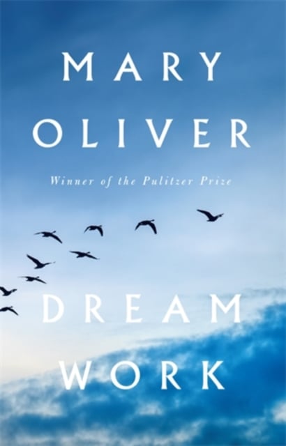 Book cover of Dream Work