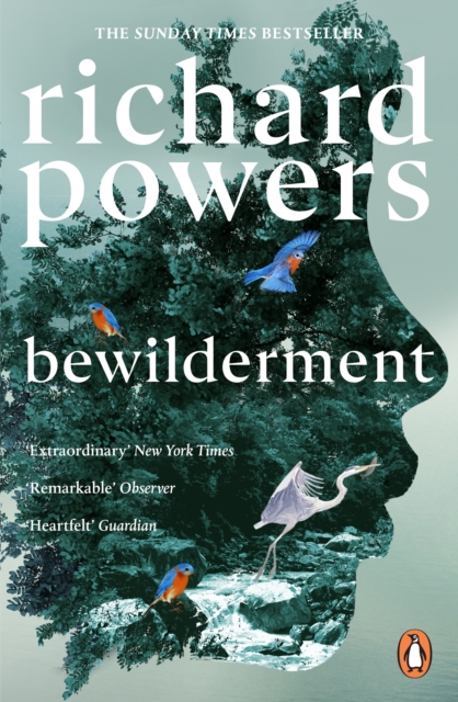 Book cover of Bewilderment