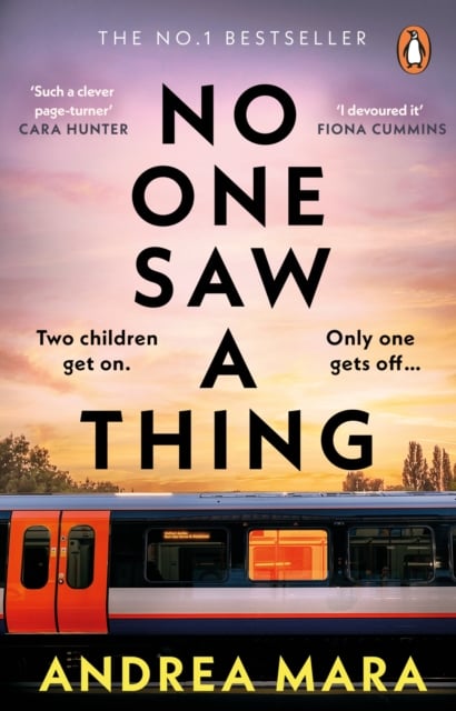 Book cover of No One Saw a Thing