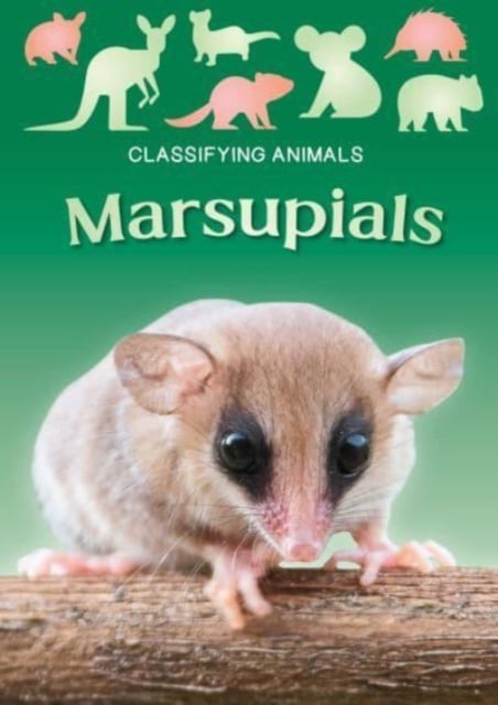 Book cover of Marsupials