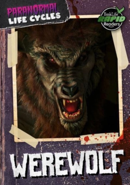 Book cover of Werewolf