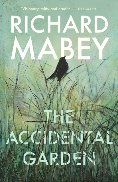 Book cover of The Accidental Garden