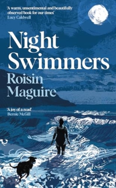 Book cover of Night Swimmers