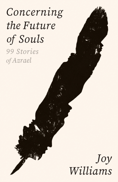 Book cover of Concerning the Future of Souls