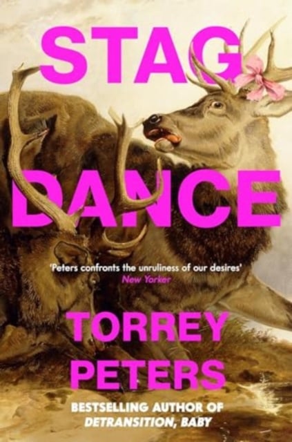 Book cover of Stag Dance