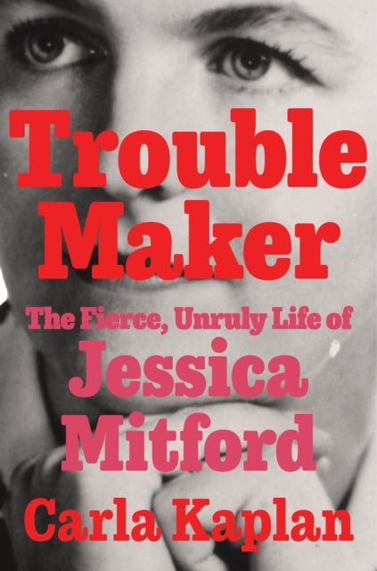 Book cover of Troublemaker