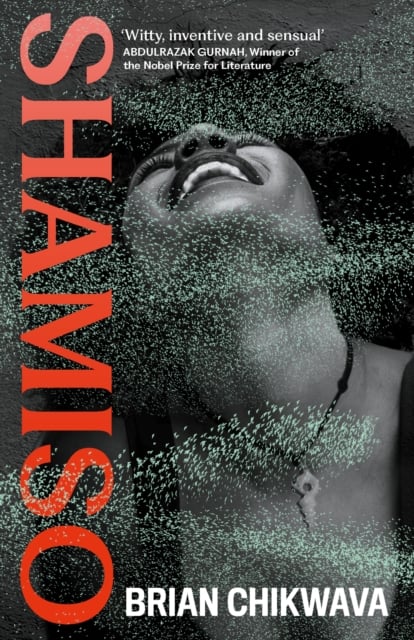 Book cover of Shamiso