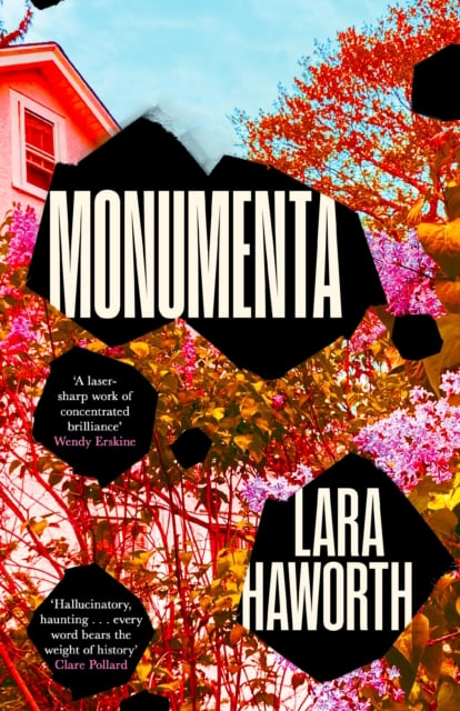 Book cover of Monumenta