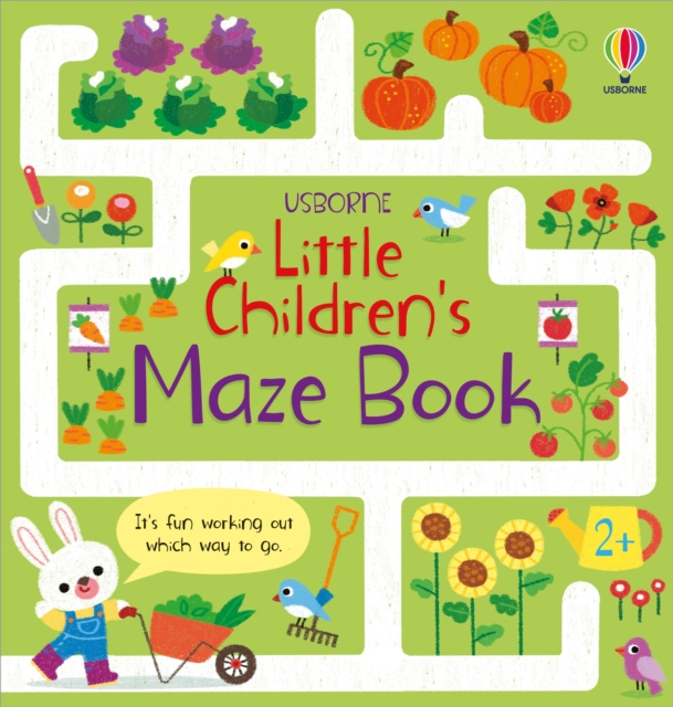 Book cover of Little Children's Maze Book