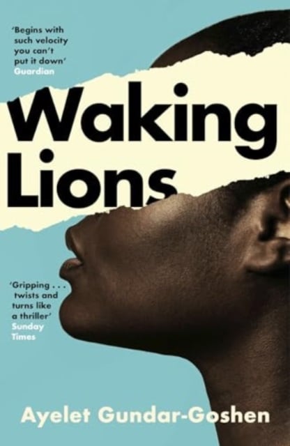Book cover of Waking Lions