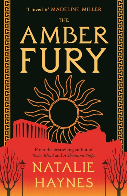 Book cover of The Amber Fury