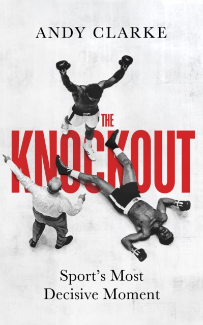 Book cover of The Knockout